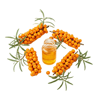 東軒園天然選品 沙棘果