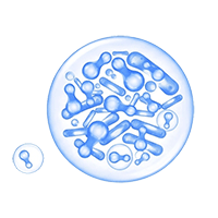 東軒園天然選品 芽孢乳酸菌